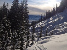 Exum ski tour trees pillows and valley